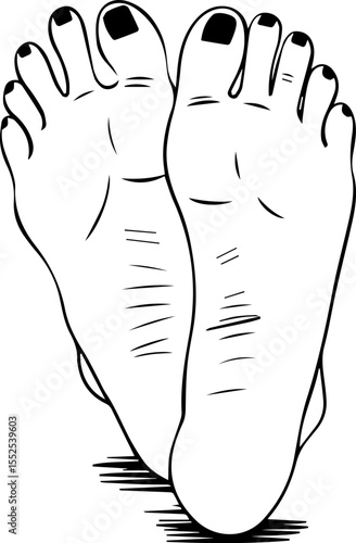 line drawing of crossed female feet with nail polish. vector illustration