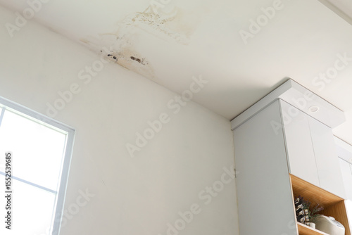 Interior View Of Moldy Ceiling From Water Infiltration