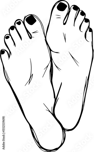 line drawing of crossed female feet with nail polish. vector illustration