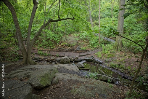 Summer in the park that has green leaves, trees, paths, and places to sit