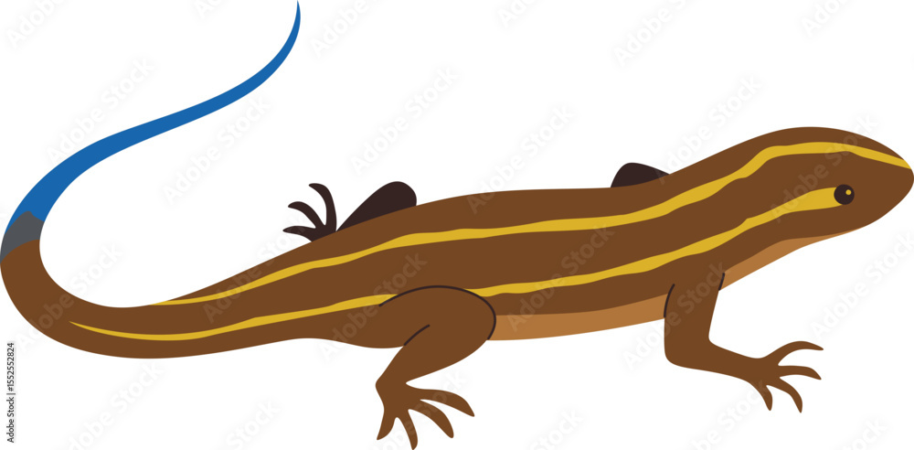 Fototapeta premium Skink with Blue Tail