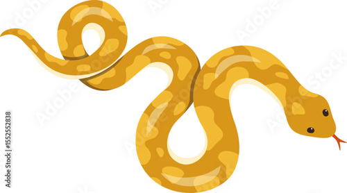 Yellow Python

