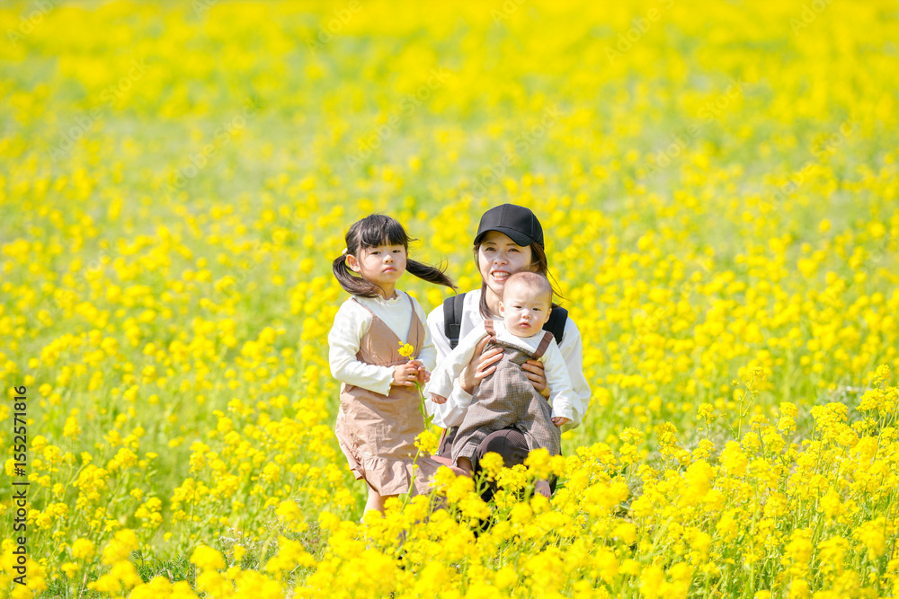 A Japanese mother in her 30s holding her 6-month-old baby boy sits with her 3-year-old twin-tailed daughter in a fully blooming field of rapeseed flowers in the countryside. Captured in early March. A Japanese mother in her 30s holding her 6-month-old baby boy sits with her 3-year-old twin-tailed daughter in a fully blooming field of rapeseed flowers in the countryside. Captured in early March.