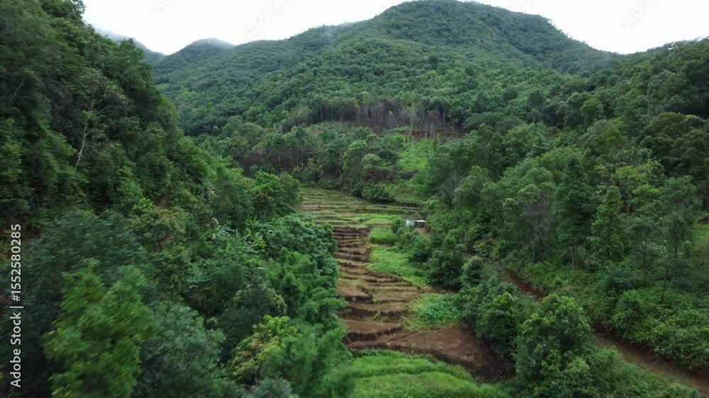Aerial view of agricultural landscape of Thailand. Rice fields waiting to be cultivated in the countryside. Agriculture in the rainy season. Aerial view of agricultural landscape of Thailand. Rice fields waiting to be cultivated in the countryside. Agriculture in the rainy season.