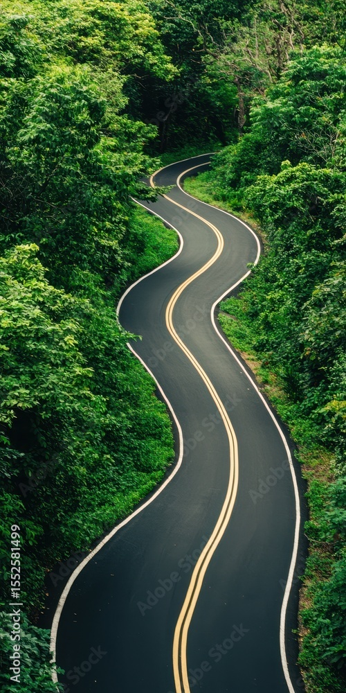 Fototapeta premium A winding road curves through dense, lush green forest, framed by tall trees and foliage on both sides.