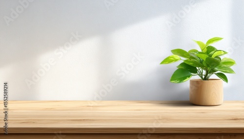 Light-filled room, wooden table, potted plant