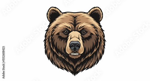 head of a bear