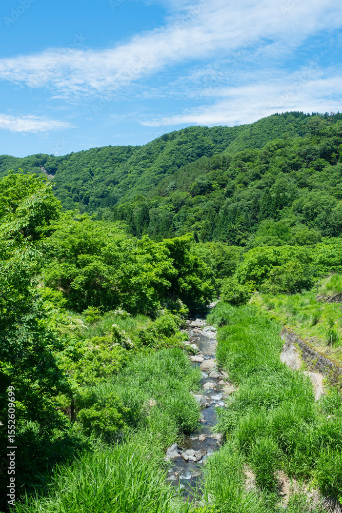 Obraz premium 田植えを終えた若桜氷ノ山の棚田の風景 鳥取県 若桜町