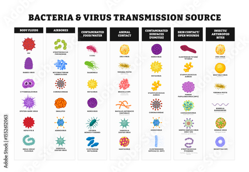 Virus and bacteria Transmission Source set collection poster for healthcare education, Pathogenic bacteria, viruses and microbes, Disease germs, bacterium type, microorganism infection
