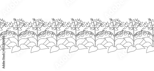 Stripe pattern with black and white line art canary islands flowers Tenerife nightshade. Floral horizontal seamless border with monochrome hand drawn millefleur style botanicals. Vector illustration