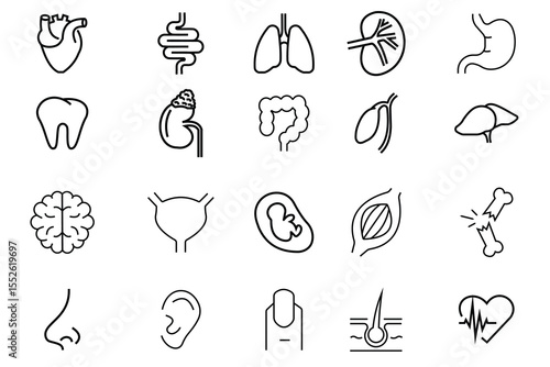 Human Internal Organ Anatomy Line Icon Set. Liver, Tooth, Brain, Stomach, Heart, Lung, Urinary System, Intestine Linear Pictogram. Healthcare Sign. Editable Stroke. Isolated Vector Illustration.