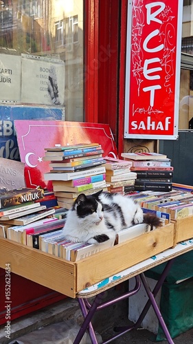 Photography Bookstore Cat - Istanbul