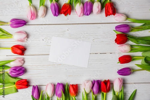 Fototapeta Naklejka Na Ścianę i Meble -  Flat design is showing top-down white-painted tabletop with red pink purple tulip frame, blank card