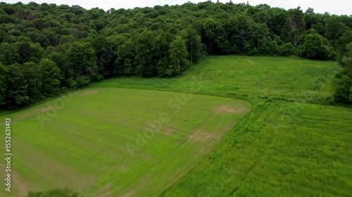 Flat green grass field bordered by tree lines, viewed from above with a calm and open rural vibe.