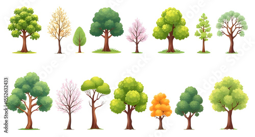 Tree group illustration, Forest scene elements, Cartoon tree set, Realistic tree vector, Hand-drawn trees, Mixed tree bundle, Tree top view set, Green tree set, Seasonal tree vector, Tree elements pa