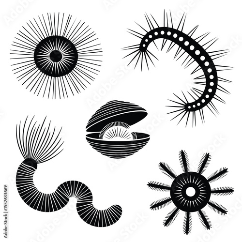 Microscopic Organisms: Detailed Illustrations of Marine Plankton