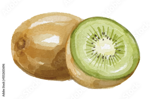 Hand painted watercolor kiwi fruit isolated