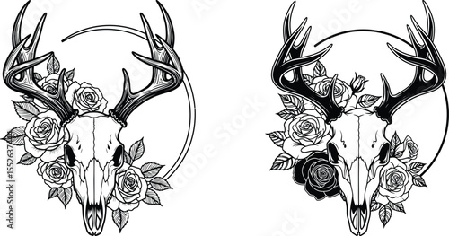 Deer Skull with Antlers and Roses in Circular Frames, Illustrations