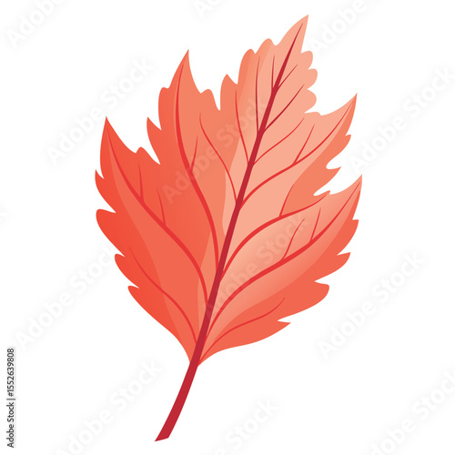 coral-leaf-isolated-realistic-on-white-background