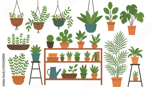 variety plants pots flat design illustration background different indoor space size decoration elements houseplants shelves hanging clipart