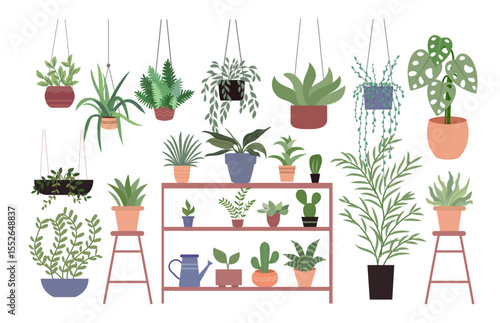 variety plants pots flat design illustration background different indoor space size decoration elements houseplants shelves hanging clipart