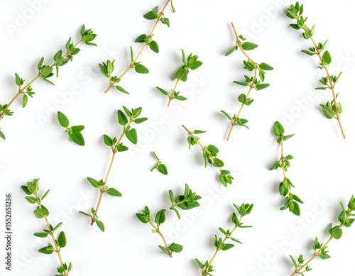 Artistic Thyme Sprigs A Culinary Herb Scattered on White