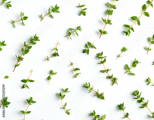 Artistic Thyme Sprigs Scattered on White A Culinary Herb Flat Lay