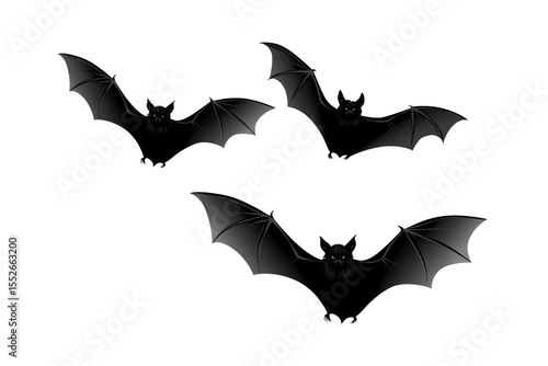 halloween bat and bats
