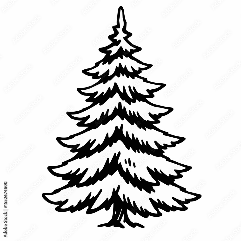 Spruce. Black and white illustration. Vector clipart. Hand-drawn Spruce. Black and white illustration. Vector clipart. Hand-drawn