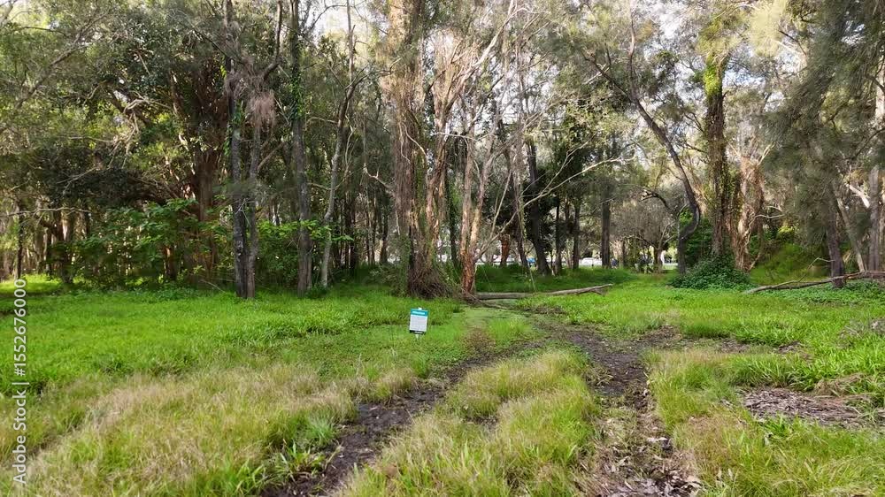 Drone Flythrough of Lush Gold Coast Parkland Drone Flythrough of Lush Gold Coast Parkland