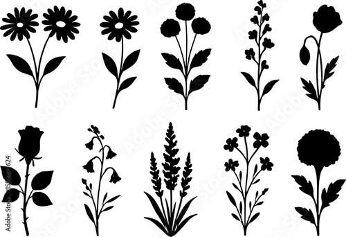 Bold Ink: Classic, Tribal & Serpent Tattoo Designs" bundle vector