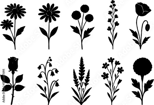 Yoga Poses and Spiritual Symbols Silhouettes art summer  Rose vector bundle