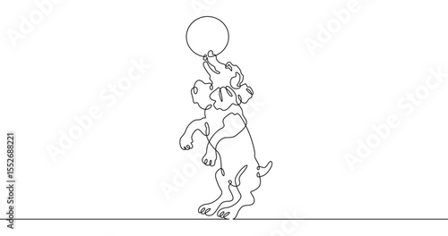 Wallpaper Mural Continuous one line drawing trained dog. The dog performs in the circus. Circus..One continuous line isolated minimal illustration.Not AI. Torontodigital.ca