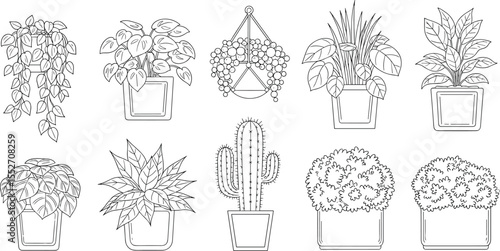 Potted indoor plants vector illustration, cactus, hanging pots, houseplants line art, botanical sketch, decorative foliage, black and white drawing

 flat vector illustration