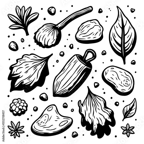 Spice and Herb Sketch Collection: A Black and White Culinary Botanical Set