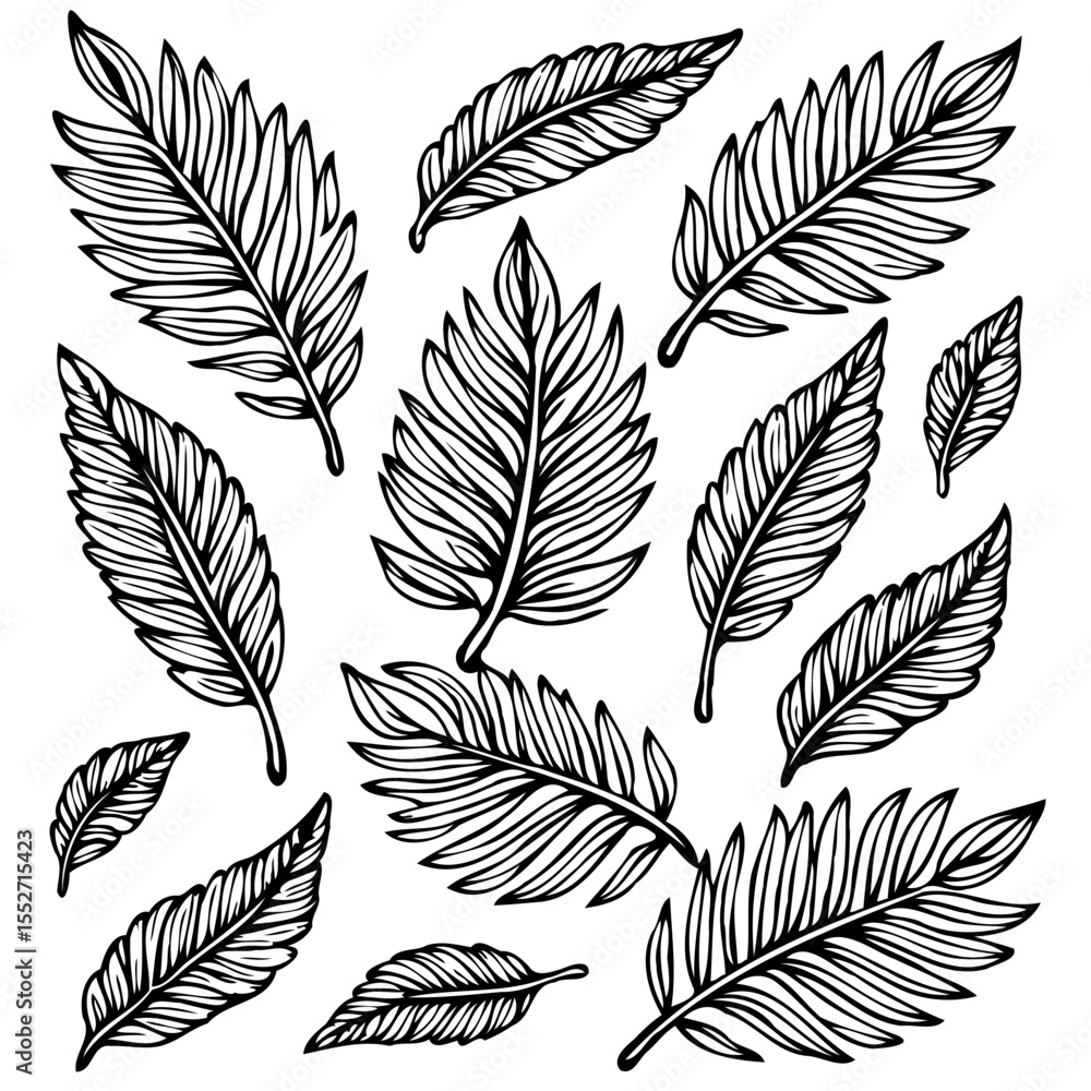 Fototapeta premium Elegant hand-drawn botanical illustration featuring detailed fern leaf patterns in monochrome
