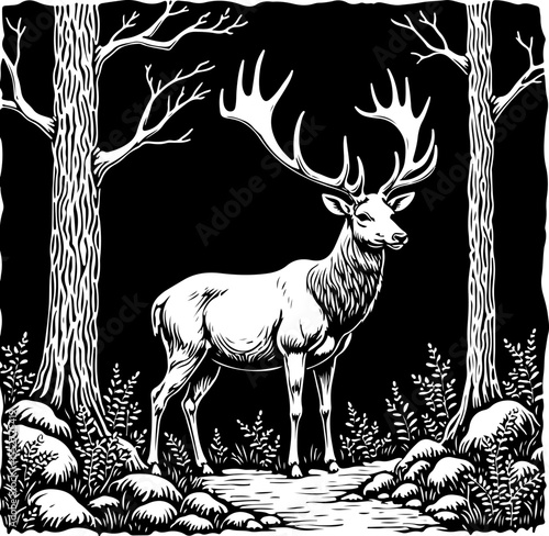 Deer Family and Stag in Forest Frame vector 