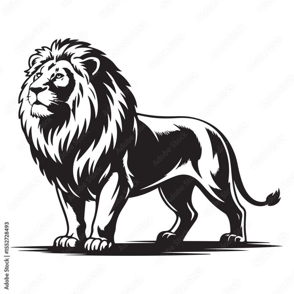 Obraz premium Majestic and Powerful Lion Vector Illustration with Detailed Mane – King of the Jungle Wildlife Silhouette . Thank You .