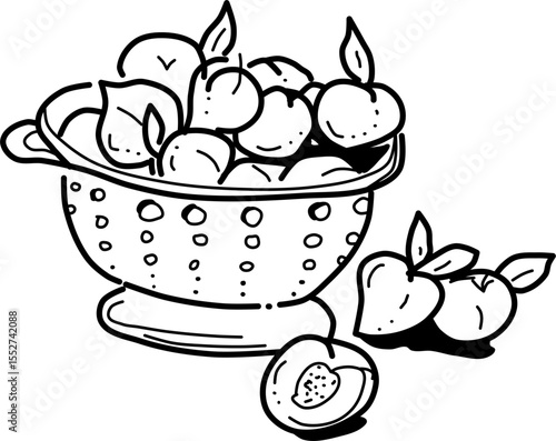 Hand-drawn colander of peaches vector doodle. A colander full of sweet, juicy peaches. Peaches ready for jam.