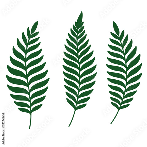 Farn Set Stempel grün