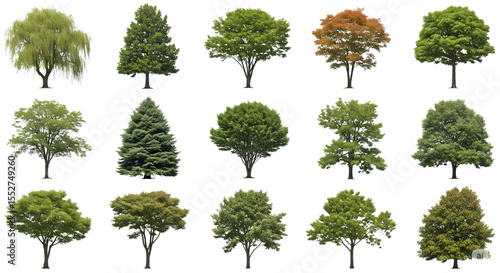 Collection of diverse deciduous and coniferous trees with lush green foliage isolated on transparent background