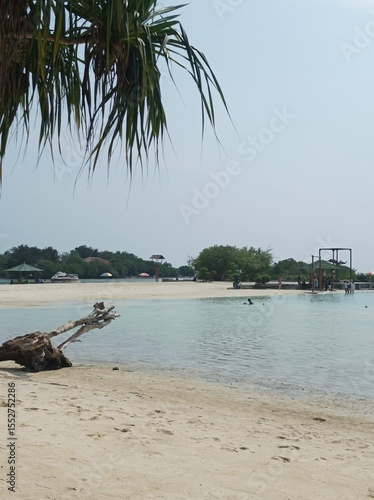 tropical beach with palm trees