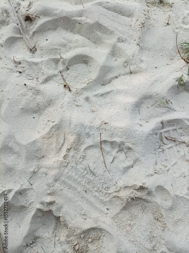 footprint on sand