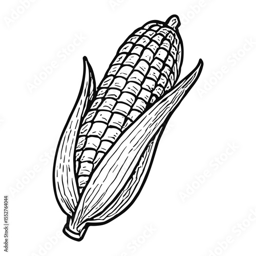 Corn Cob