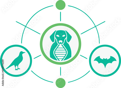 Dog bird bat D N A connection diagram genetics science