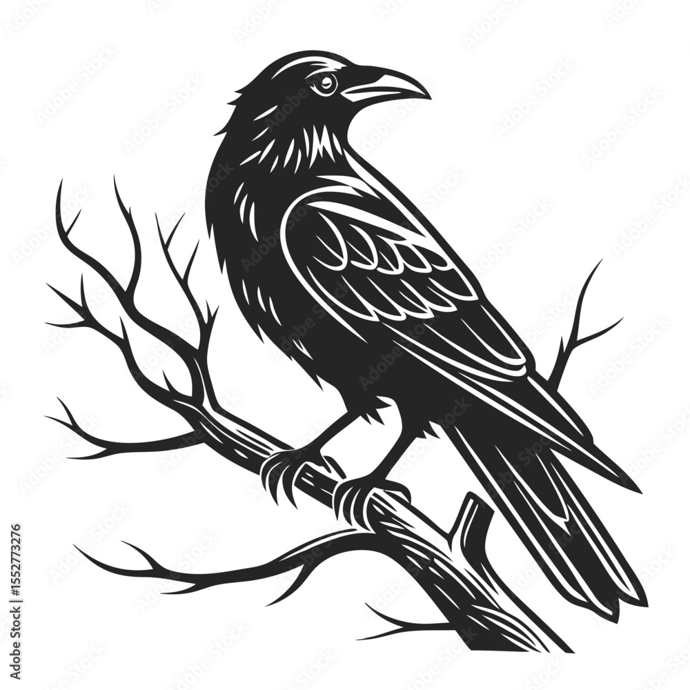 vector illustration of a bird vector illustration of a bird