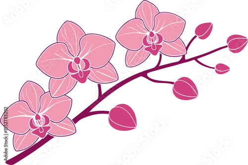 Pink orchid flowers and buds on a branch purple