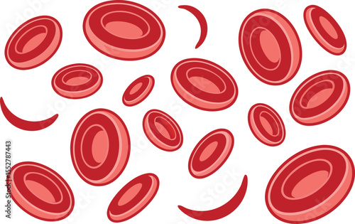 Red blood cells floating on white background erythrocytes