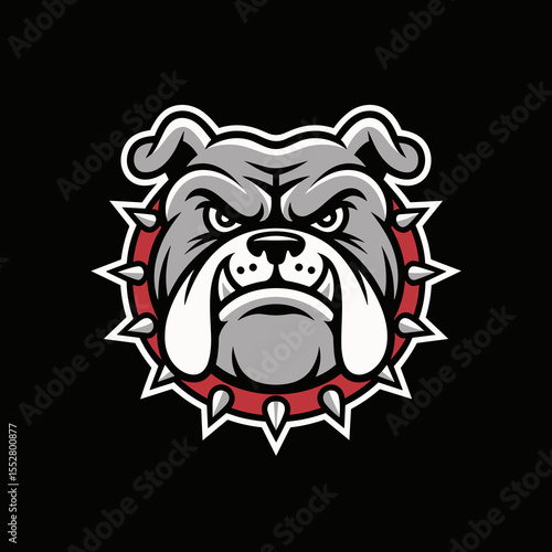 Bulldog head with spiked collar looks fierce. Mascot logo, animal aggression, canine graphic, sport team