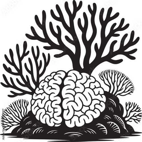  Monochrome Brain Coral and Branching Organisms